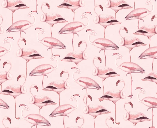 Rebel Walls R19654 Pops Flamingos Bubblegum - mural we flamingi