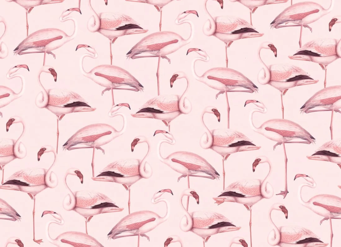 Rebel Walls R19654 Pops Flamingos Bubblegum - mural we flamingi