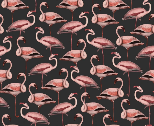 Rebel Walls R19655 Pops Flamingos Liquorice - mural we flamingi