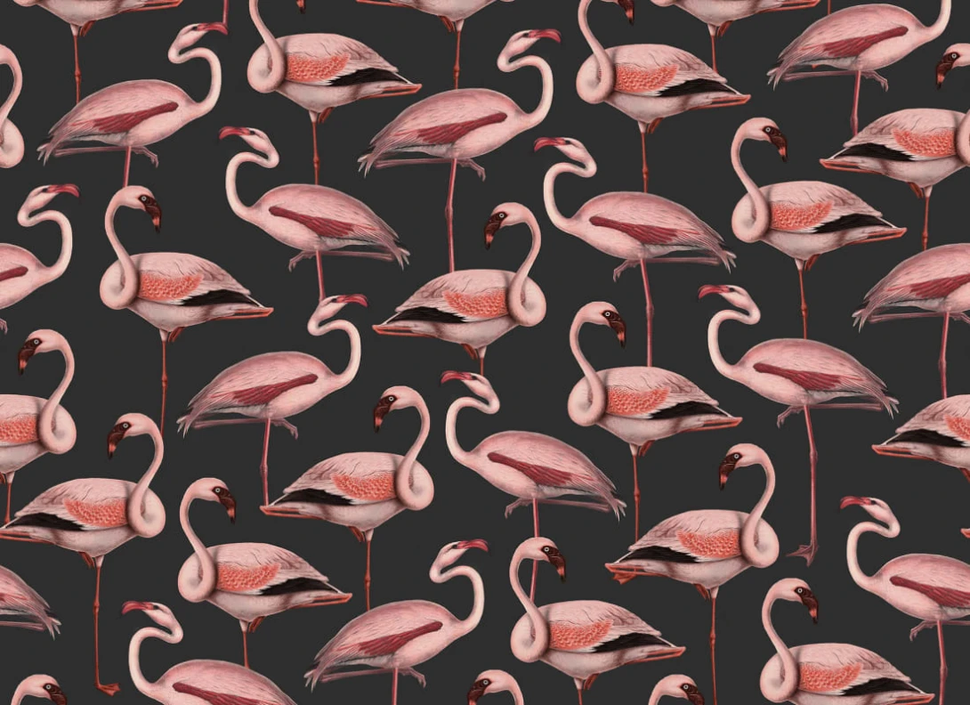 Rebel Walls R19655 Pops Flamingos Liquorice - mural we flamingi