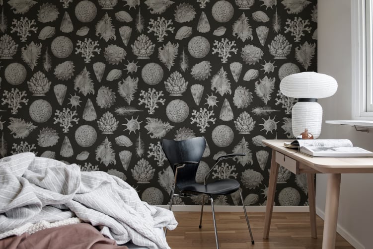 Rebel Walls R19662 Pops Seashells Graphite - mural w muszle