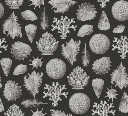 Rebel Walls R19662 Pops Seashells Graphite - mural w muszle