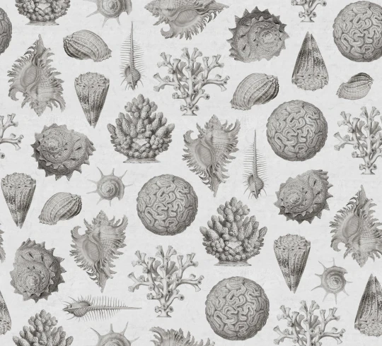 Rebel Walls R19663 Pops Seashells Clay - mural w muszle