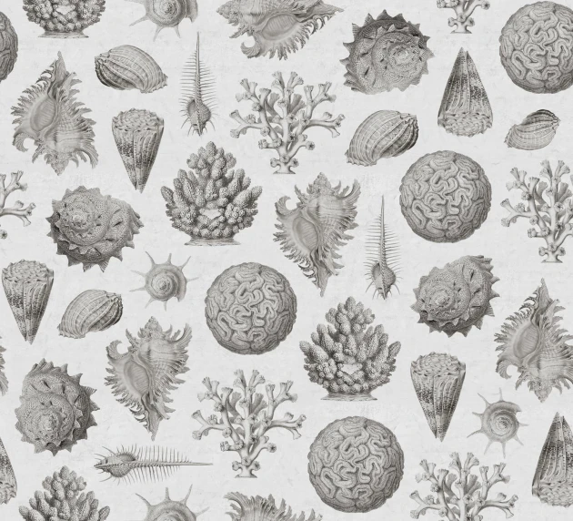 Rebel Walls R19663 Pops Seashells Clay - mural w muszle