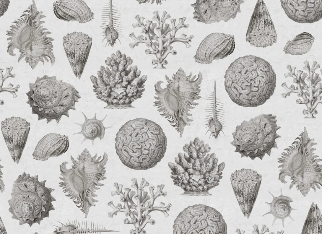 Rebel Walls R19663 Pops Seashells Clay - mural w muszle