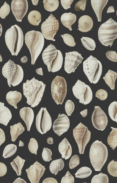 Rebel Walls R19681 Pops Ocean Shells Graphite - mural w muszle