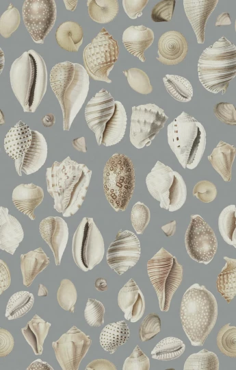Rebel Walls R19683 Pops Ocean Shells Blue - mural w muszle