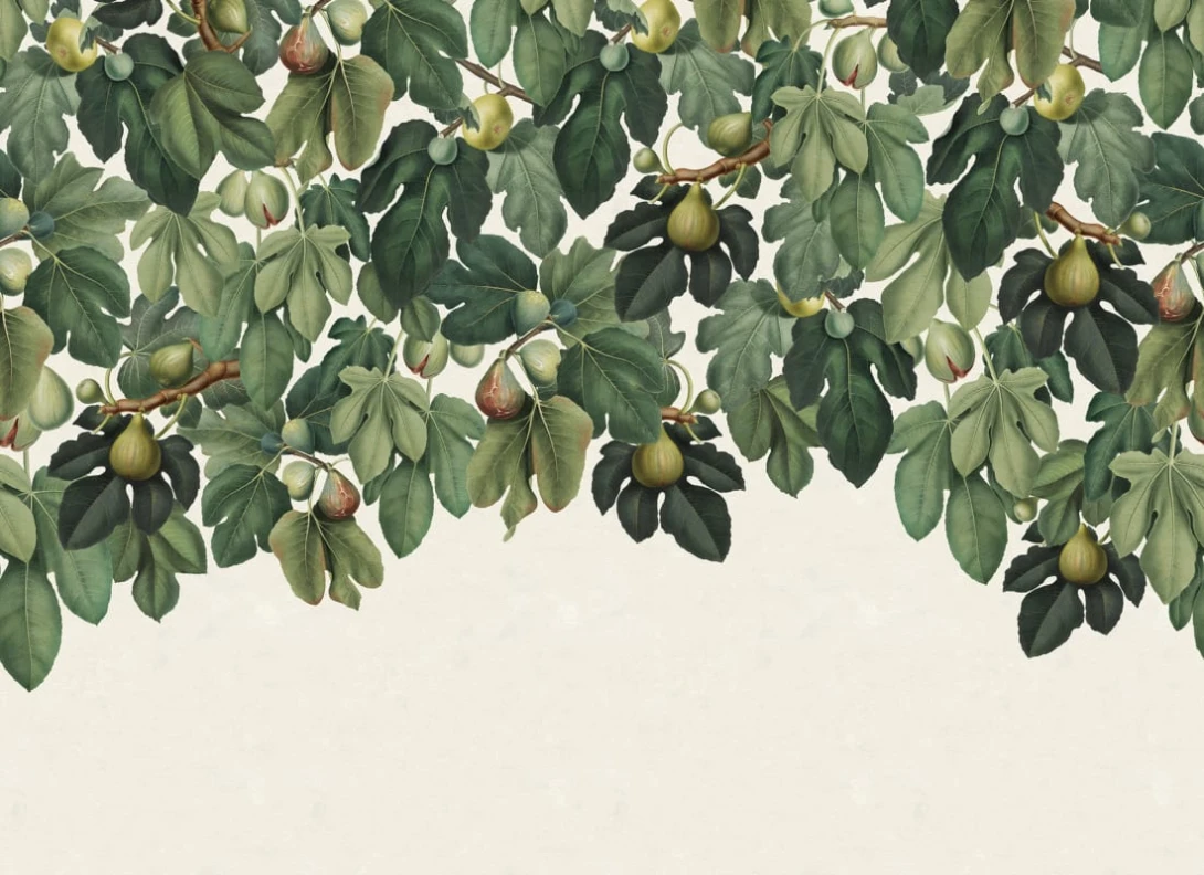 Rebel Walls R19722 Pops Dangling Figs Green - mural w figi