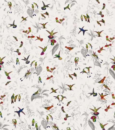 Rebel Walls R19725 Pops Hummingbird Light - mural w kolibry