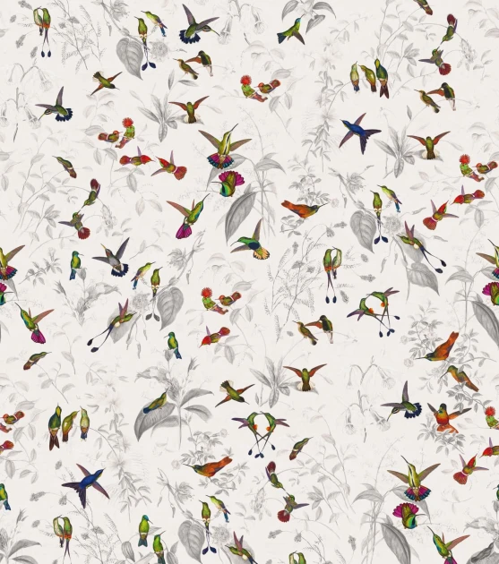 Rebel Walls R19725 Pops Hummingbird Light - mural w kolibry