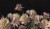 e959831617d0617dd1585a14eaaade96