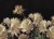 c17528ff660010e533f7fc533324c5fb