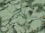 3f49e1edb21a3612fdeaea50233972b0