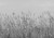 79c4a280ad94b7ad44103395a89388e0