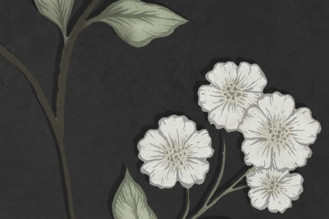 Rebel Walls R20369 Pops Serene Garden Black - mural w rośliny i ptaki