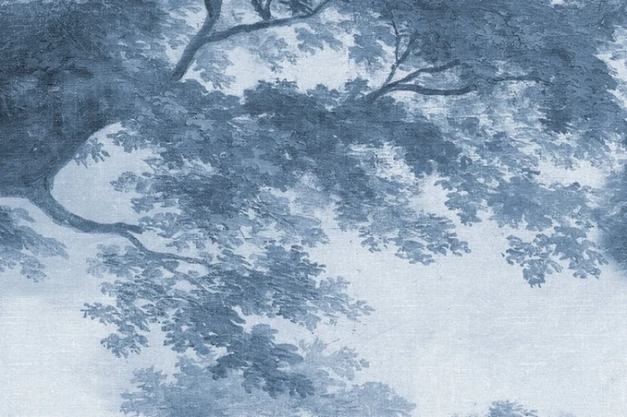 192d48f97724bf7469c0811edcf004cb