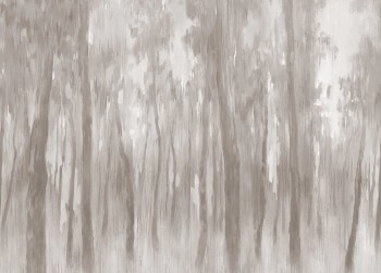 d428706172ef9581465d3ae8b618ce2d