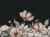 a7bd9699b28642ae8190270c4abeb33c