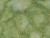 c1e102423fa5eeda93e9057d6dbe3709