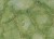 bee4ae91b8a70f0cc22c2b882bbe8be4