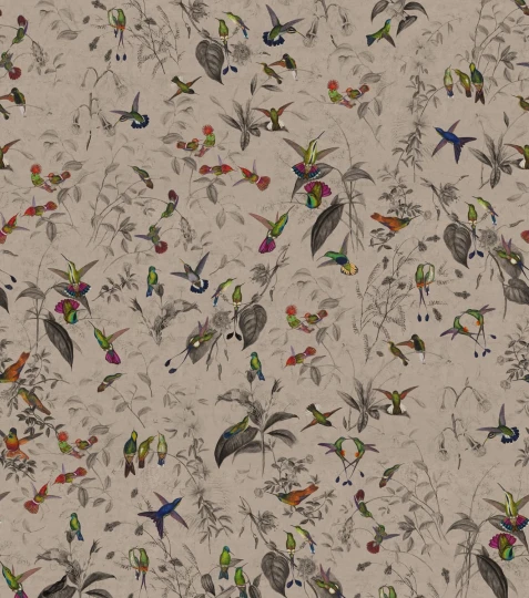 Rebel Walls R20845 Pops Hummingbird Beige - mural w kolibry