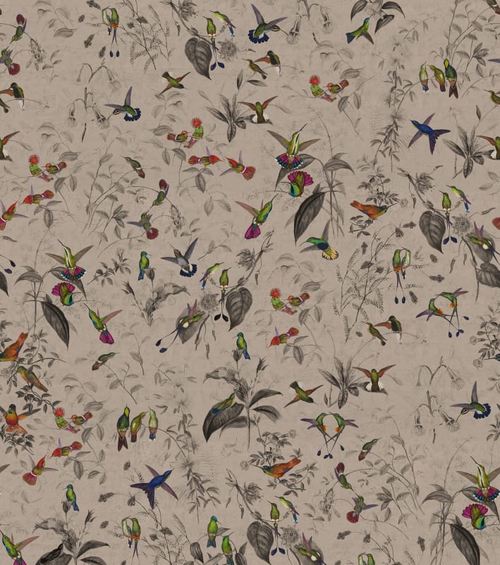 Rebel Walls R20845 Pops Hummingbird Beige - mural w kolibry
