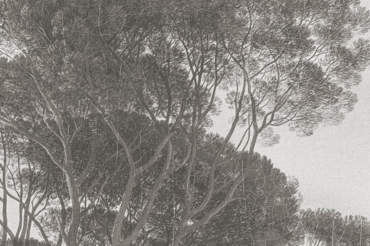 Rebel Walls R20918 Pops Pine Wood Gray - mural w drzewa