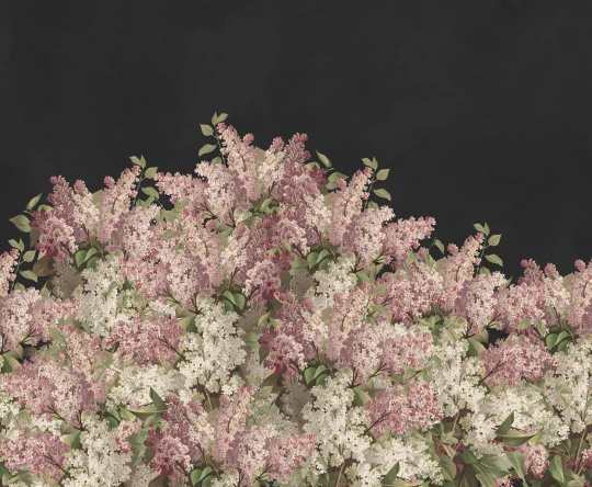 Rebel Walls R20920 Pops Syringa Flowers Black - mural w kwiaty bzu