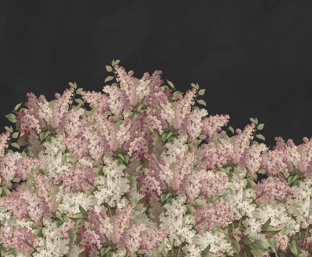 Rebel Walls R20920 Pops Syringa Flowers Black - mural w kwiaty bzu