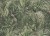 81b09562fc35e9930a0f33dfd10654dd