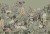90761ba5870329b6ee398090280bfd68