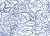 11a95717802aa84e75fd81b60fea338b