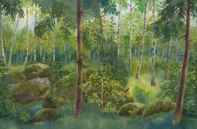 Rebel Walls R19840 Meet a Rebel Home Forest Spring - mural dziecięcy w las
