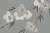 ac7eb59c7d9a9603d0fb26b851e1e526