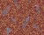 fa36189591111688bc050c111284fbca
