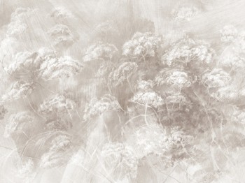 224667df1841916719eb44f010e90981