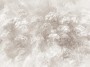 224667df1841916719eb44f010e90981
