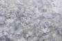 0c6cd2ef29d39748d9dcee1f59bd504e