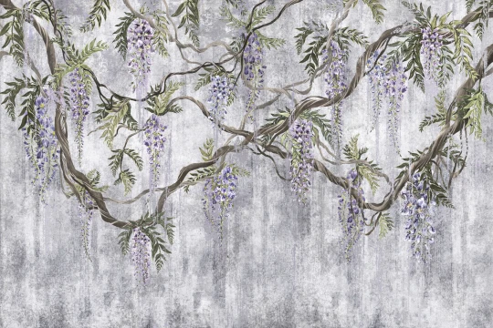 Lorenso TPA 0625 0172 01 Wistela - mural w wisterię