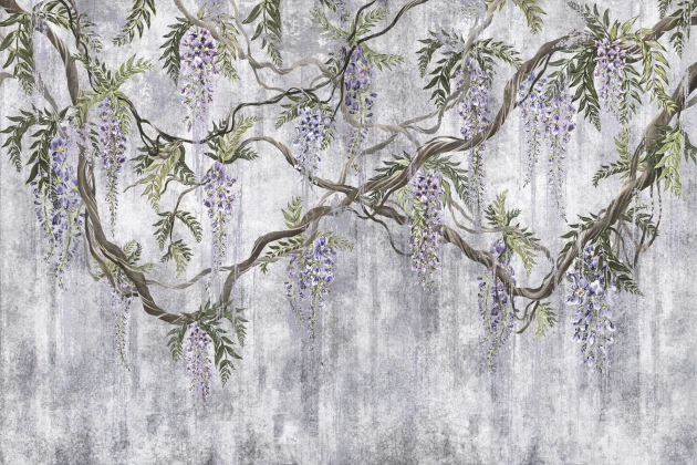 Lorenso TPA 0625 0172 01 Wistela - mural w wisterię