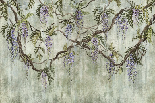 Lorenso TPA 0625 0172 03 Wistela - mural w wisterię