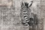 c80271606814c9ca0f034696bc65b6f2