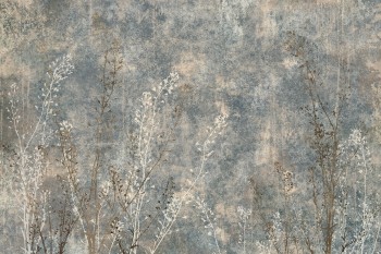 f24ac66c613ebb94ce8681dacba32ef7