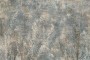 f24ac66c613ebb94ce8681dacba32ef7