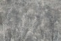 2dda39dea9925149eea12606d5843b80