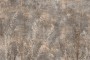85600c72fc664ddb518e67c5daa3a763