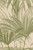 25c40af46e9a9436ecc17b67f592d58b