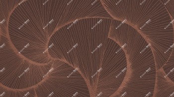 74ceb21305d5808a59d60eaba6e76bf0