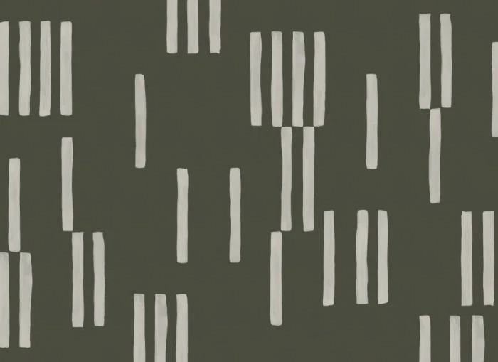 36d49ebaeceaa0fd8f5a69a3ca47ac41