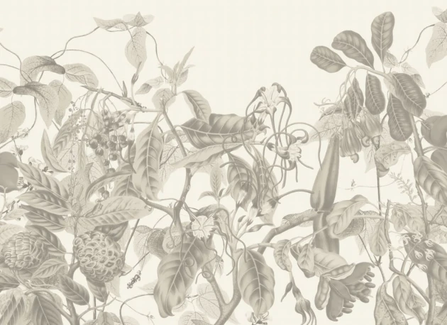 Hovia FL0943BW06W Tanglewood Grey - mural w egzotyczne kwiaty